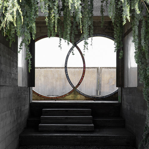 Two overlapping circular frames in an arched concrete opening above dark steps, with trailing greenery overhead