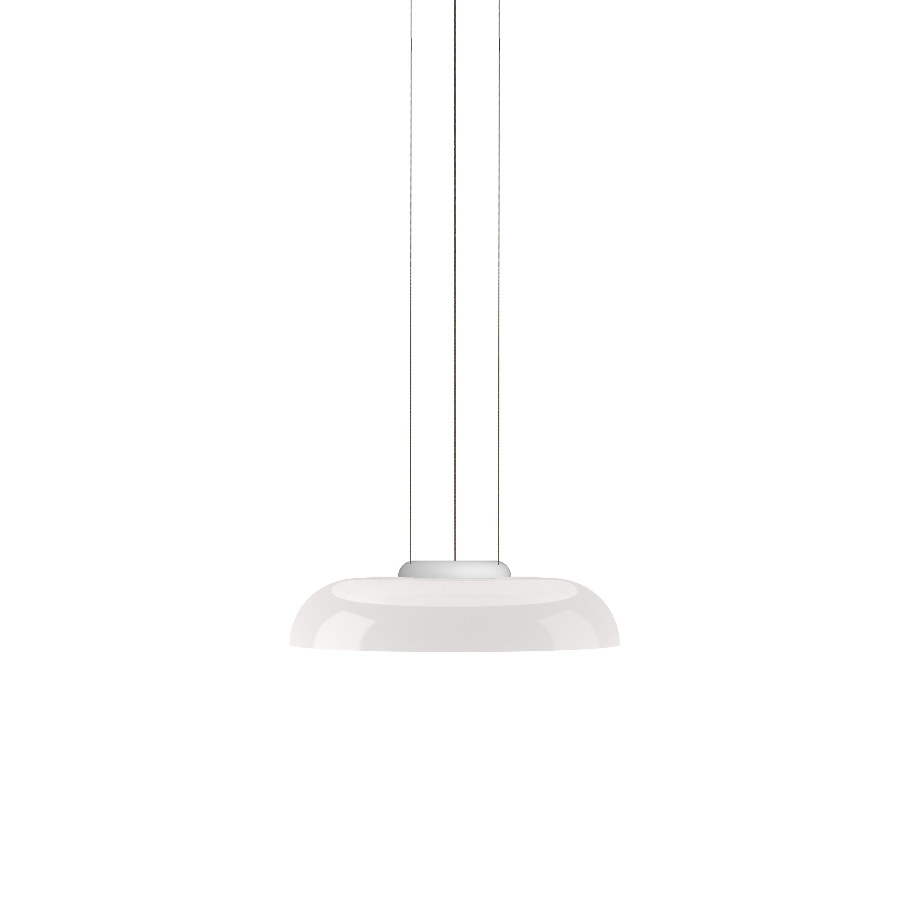 Totem Downlight Pendant: D