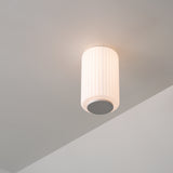 insitu