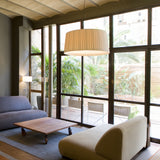 insitu