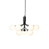 Apiales 9 Chandelier: Brushed Brass + Opal White + Black