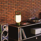 insitu