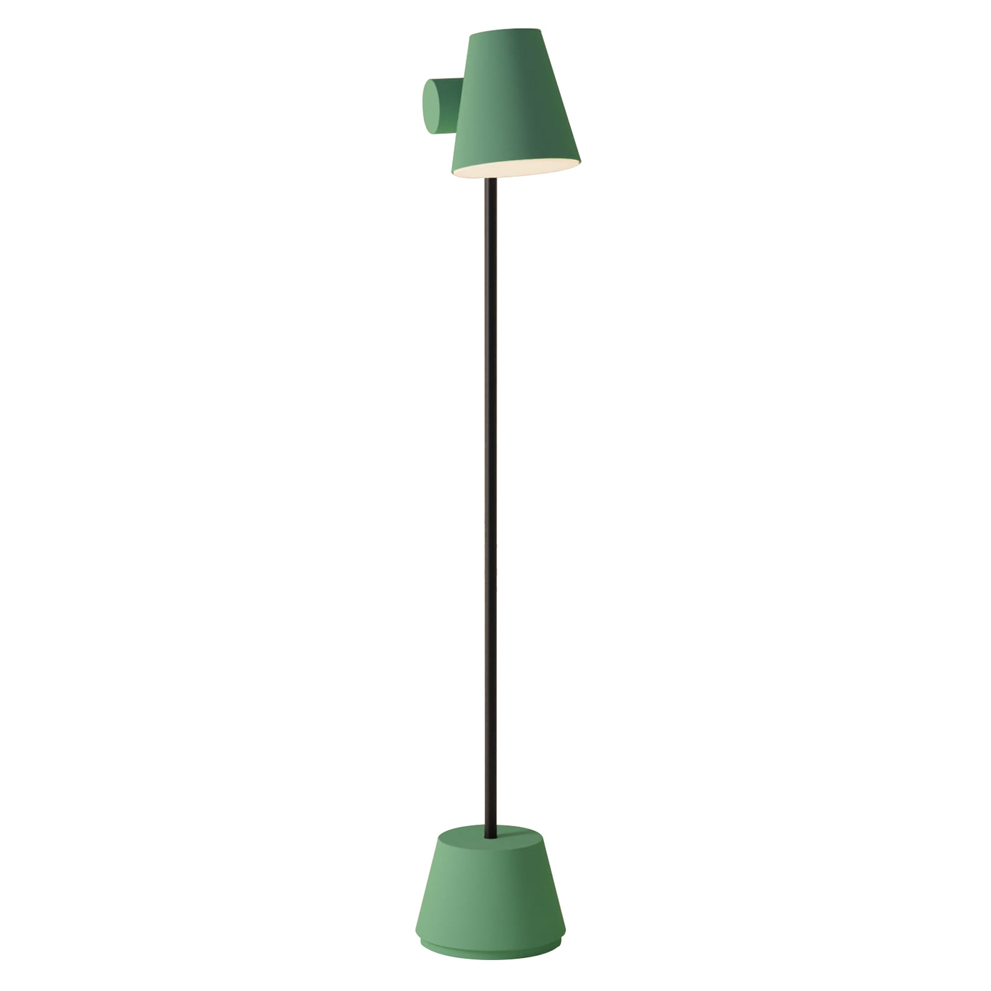 Aim Floor Light: Sage + Black