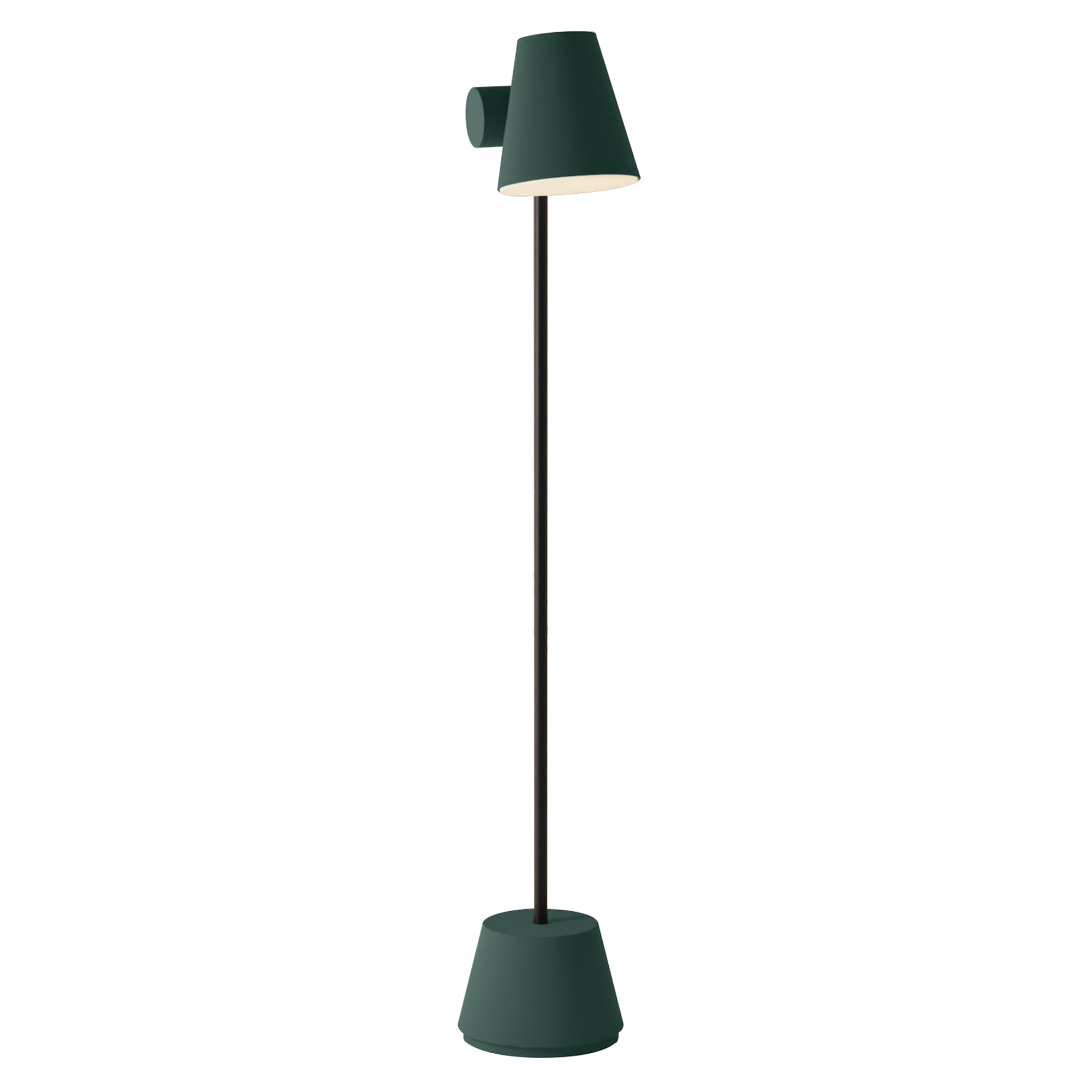 Aim Floor Light: Spruce + Black