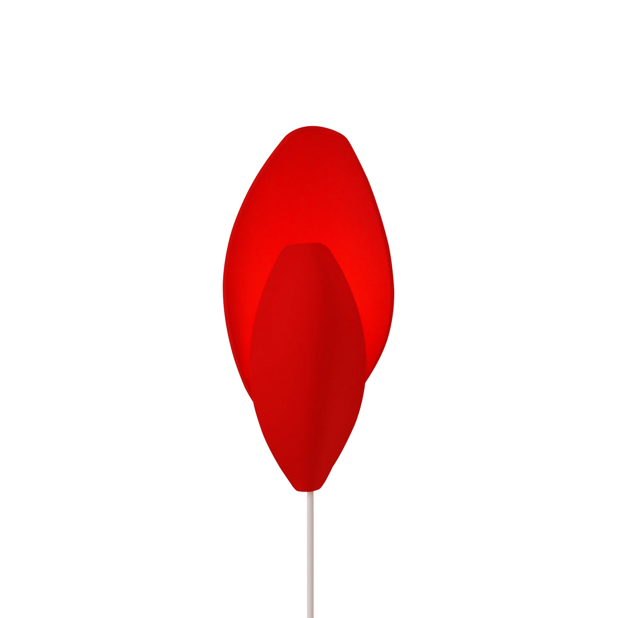 Cerra Wall Light: Poppy