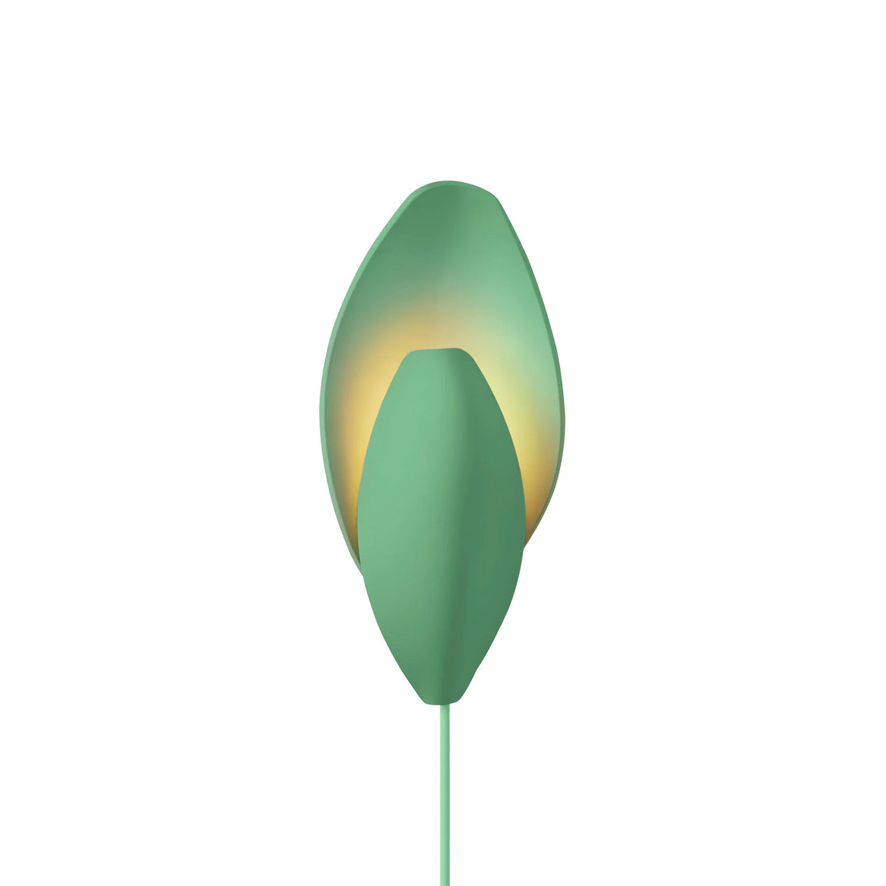 Cerra Wall Light: Sage