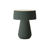 Hula Table Light + Spruce