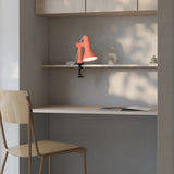 insitu