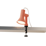 Gallery Clamp Light: Blossom + Black