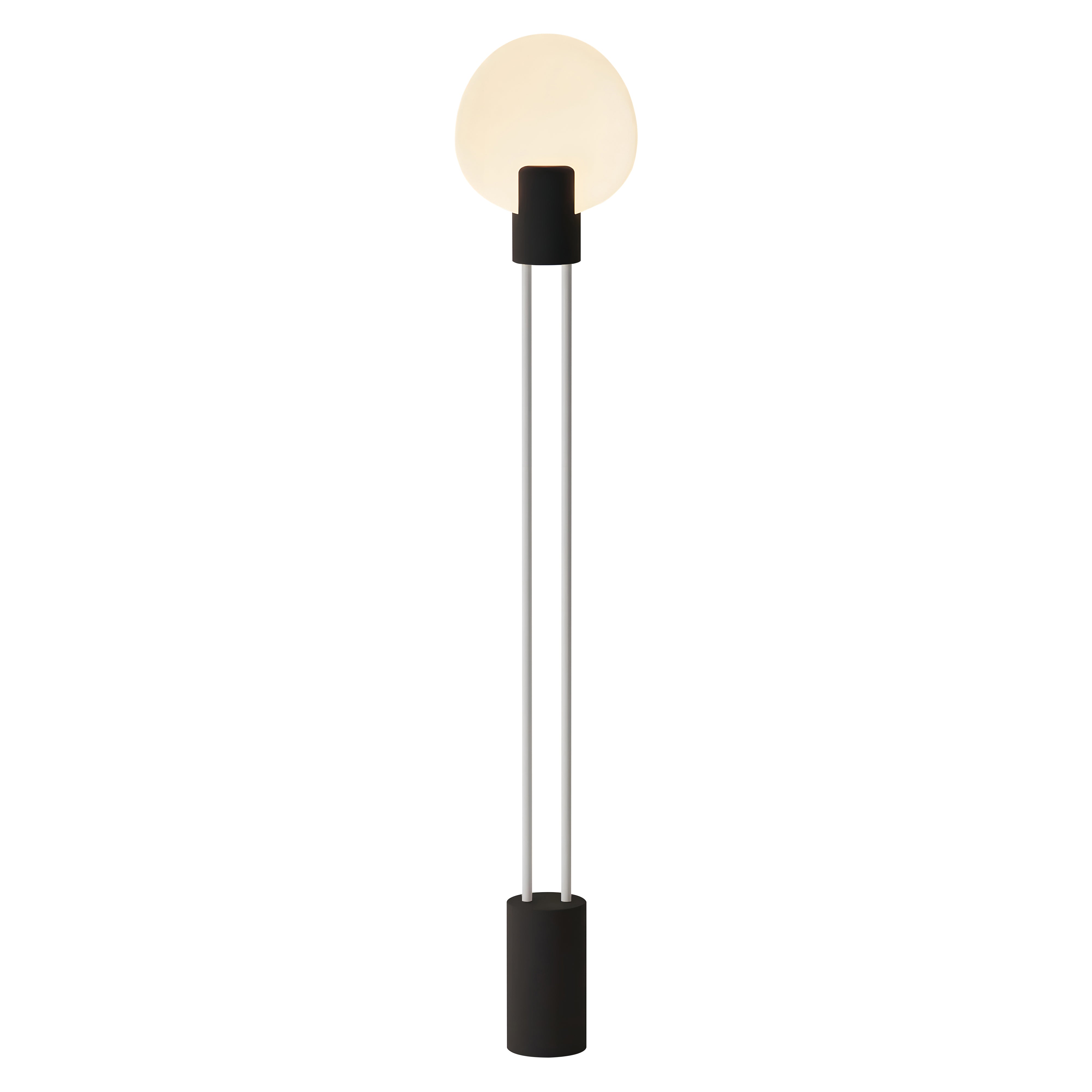 Pavone Floor Light: Carbon + White