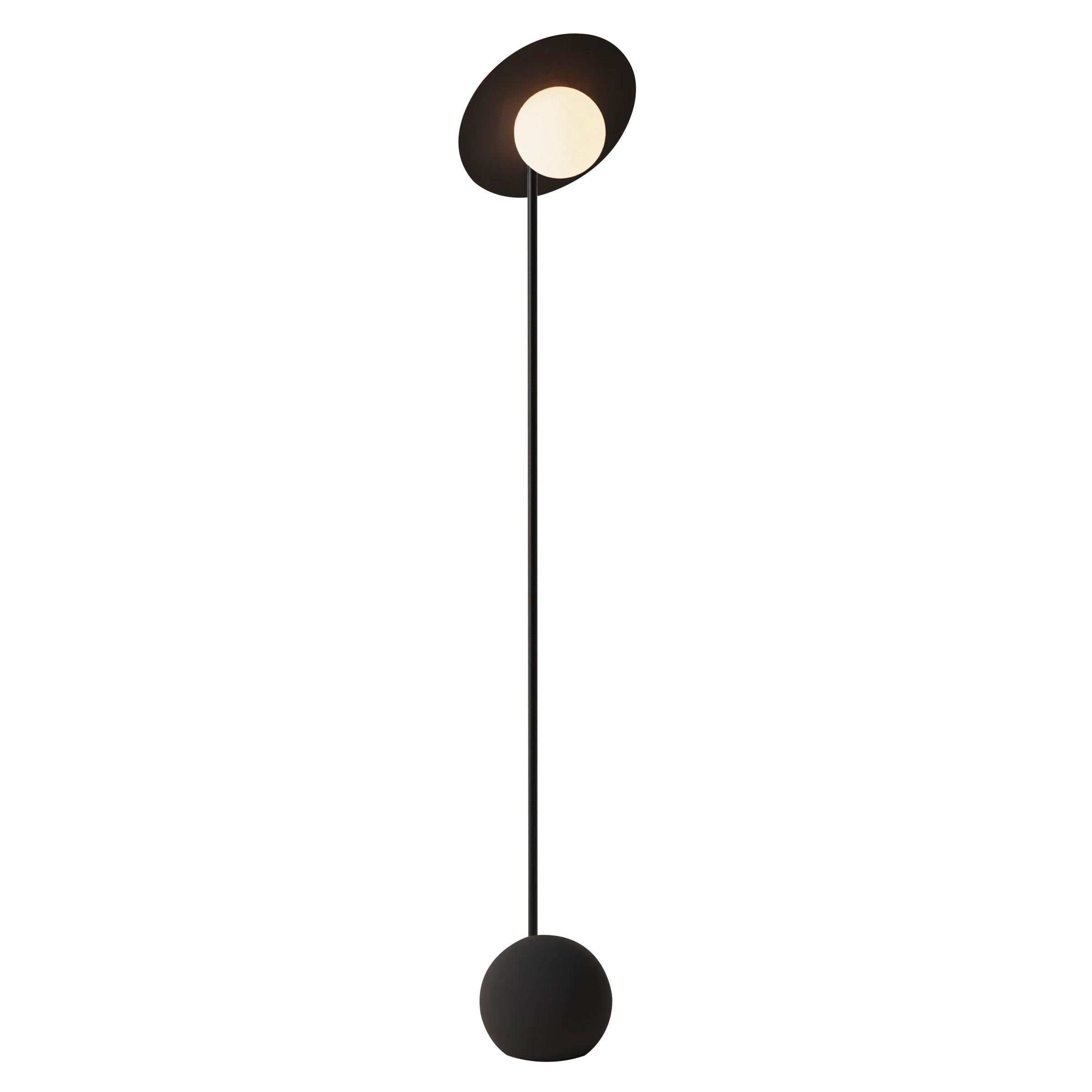 Noah Floor Light: Carbon + Black