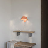 insitu