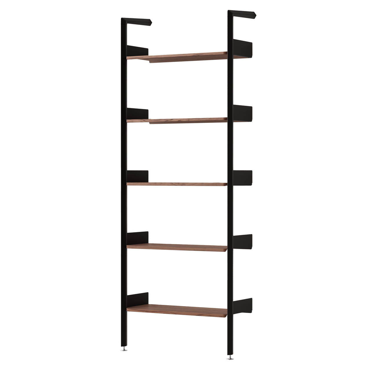 Rombe Modules Shelving: IF1 + Lacquered Walnut