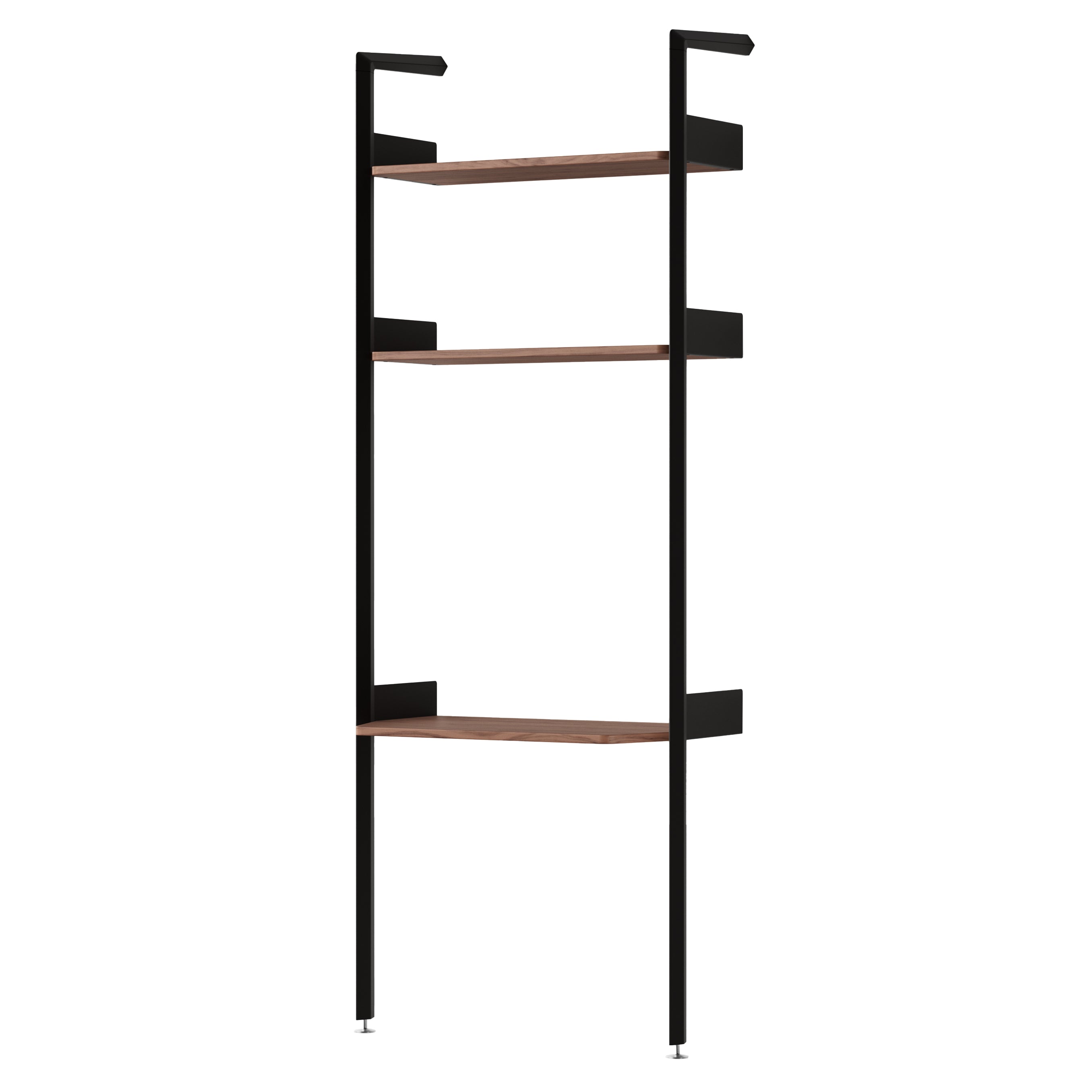 Rombe Modules Shelving: IF2 + Lacquered Walnut