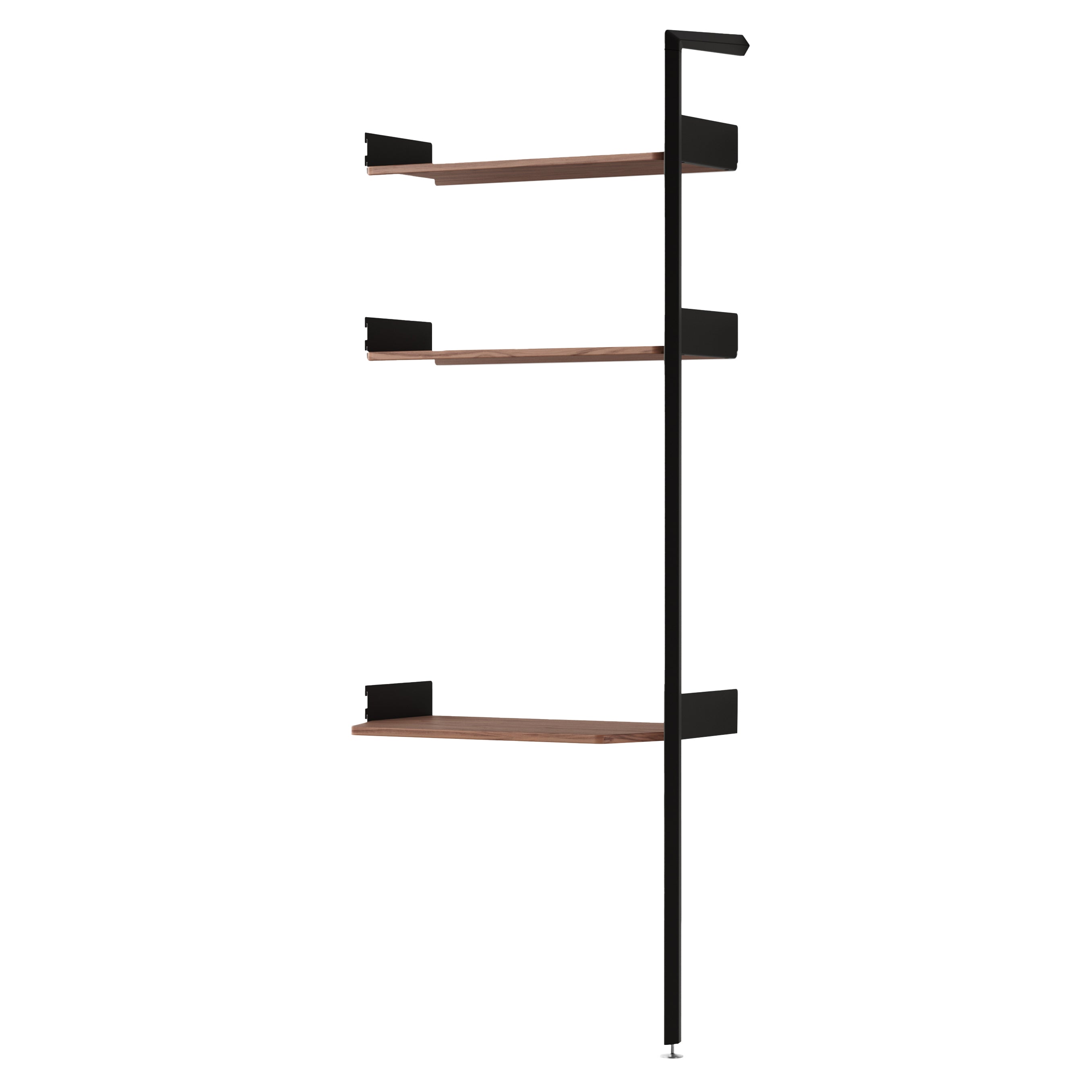 Rombe Modules Shelving: IF5 + Lacquered Walnut