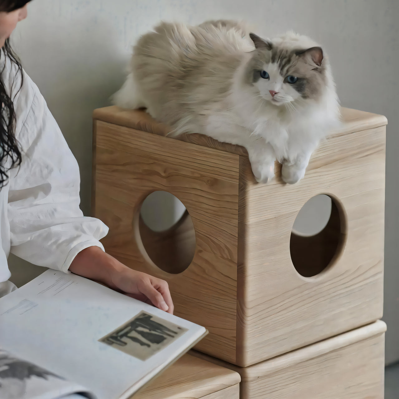 insitu