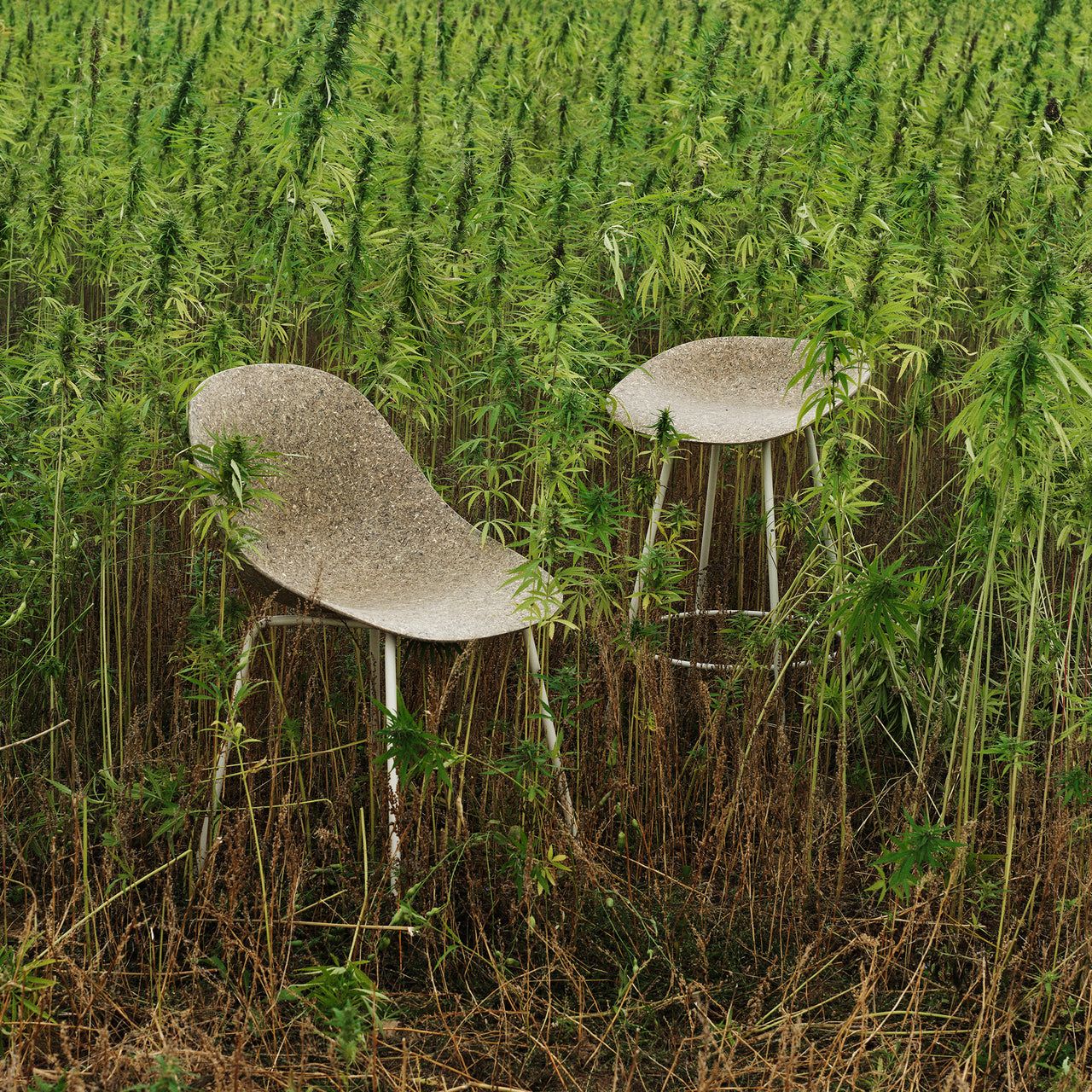 Mat Bar + Counter Stool: Steel