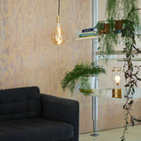 The Muse Portable Lamp: Special Edition
