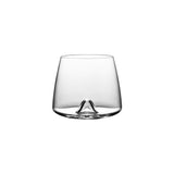 Whiskey Tumblers Set of 2