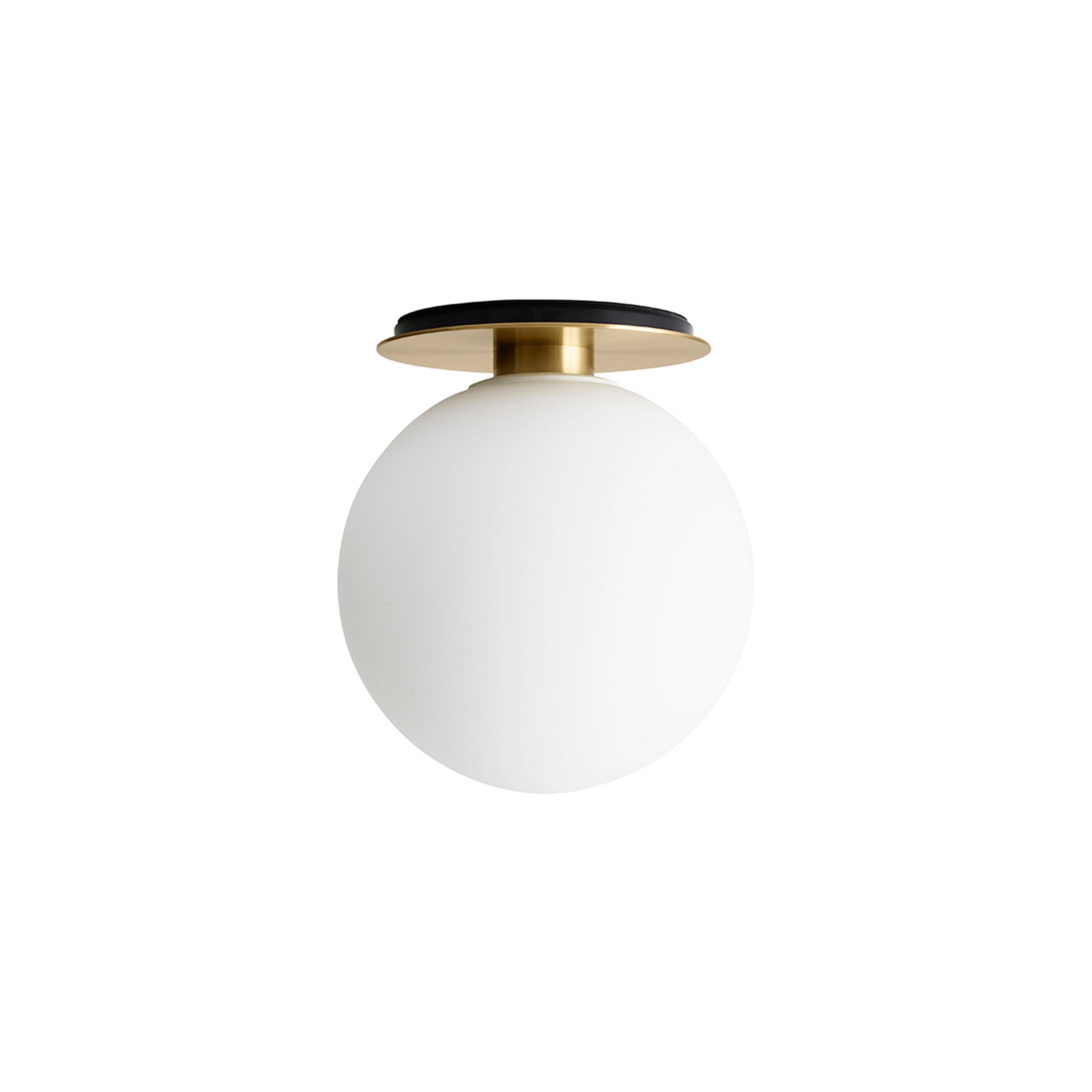 TR Bulb Wall + Ceiling Lamp: Brushed Brass