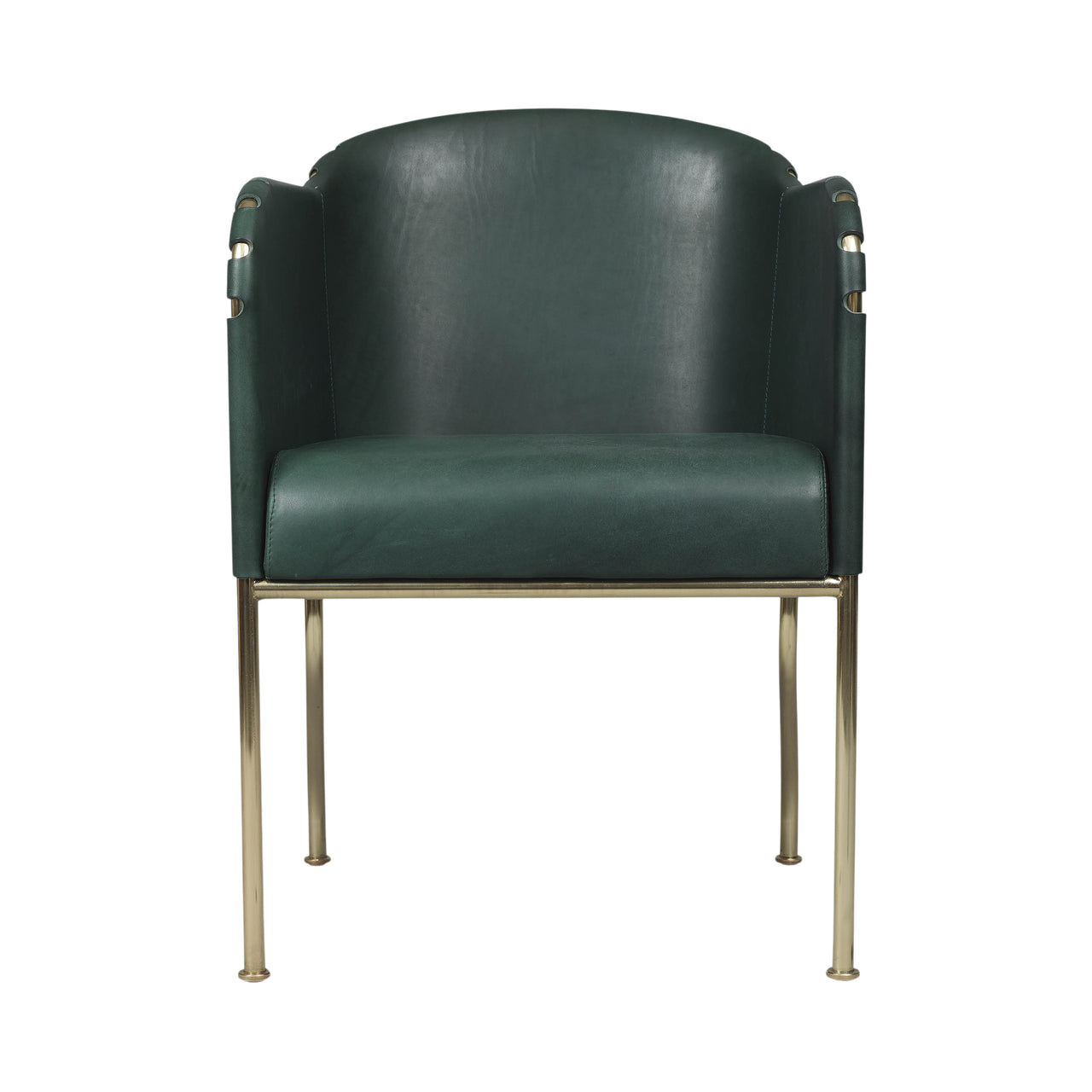 Ambassad Easy Chair: Brass Treated + Tarnsjo Leather Green