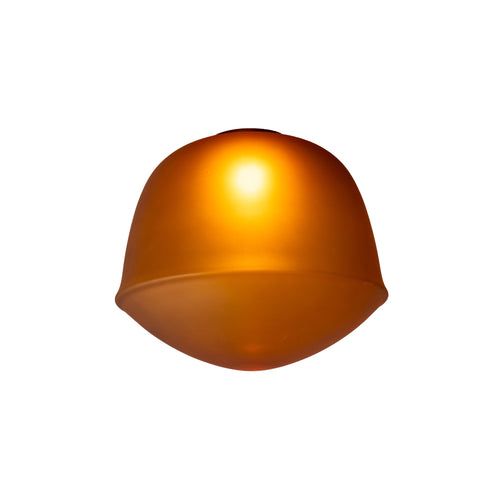 Contour Ceiling/Wall Light