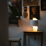 insitu