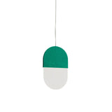Slab P20 Pendant Light: 1 + Fern Green