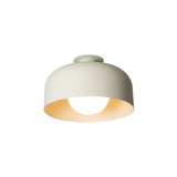 Spotlight Volumes Ceiling/Wall Light: B + Sage