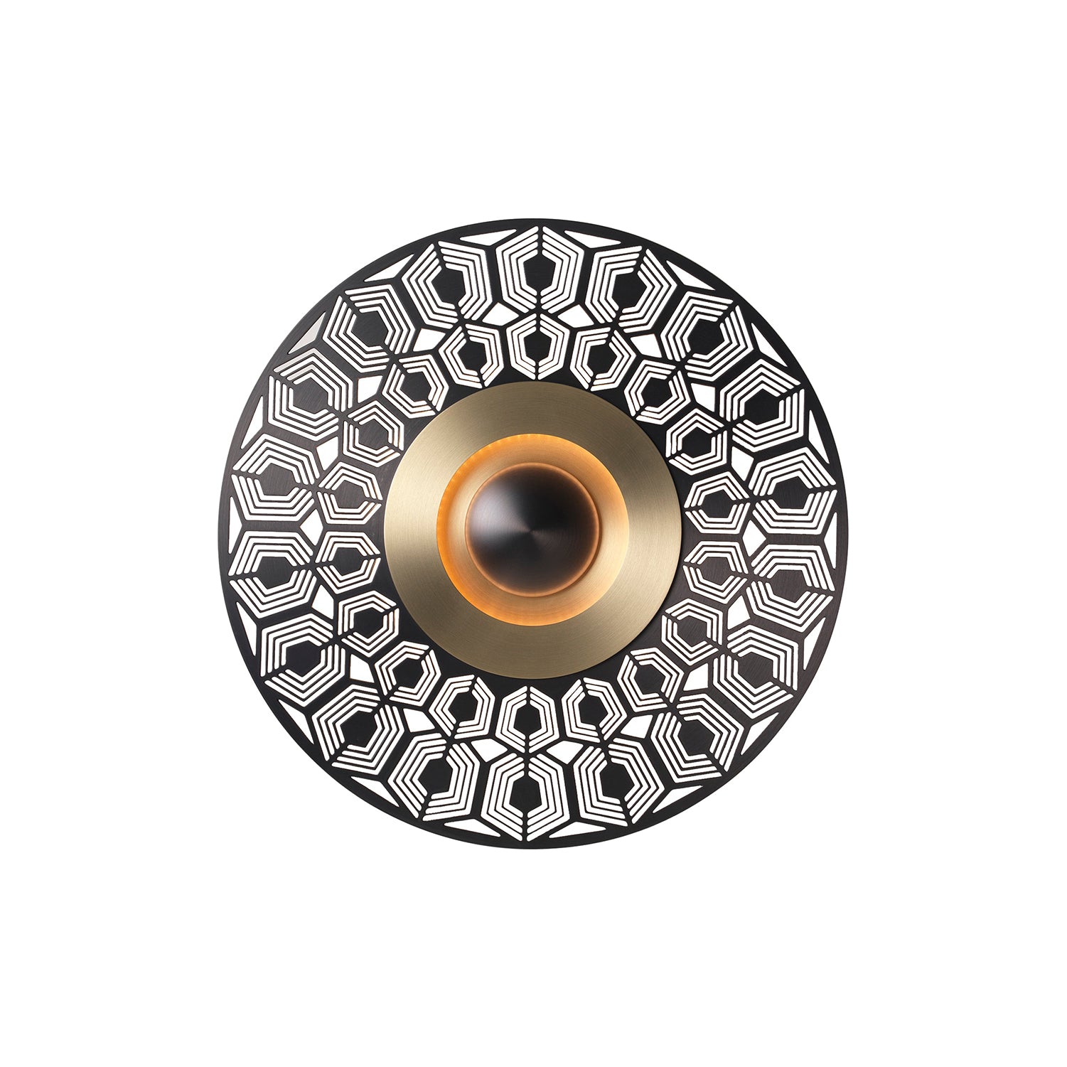 Earth Wall Light: Turtle + Large - 17.3