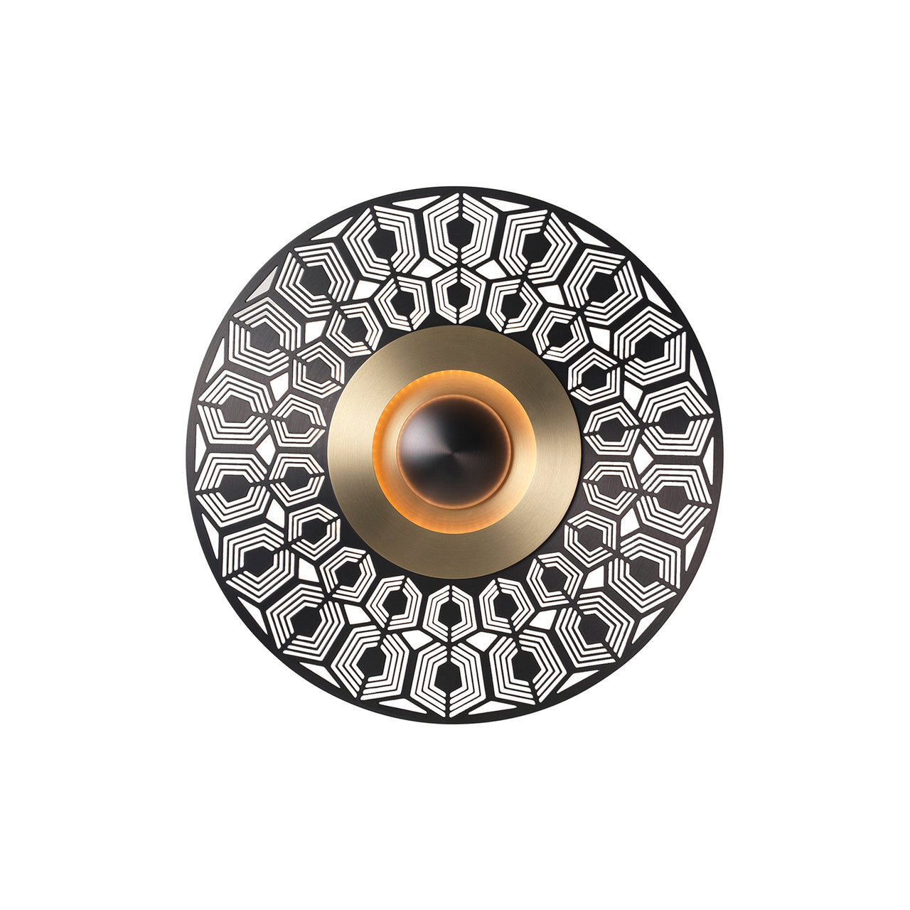 Earth Wall Light: Turtle + Large - 17.3