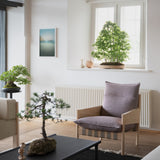 insitu