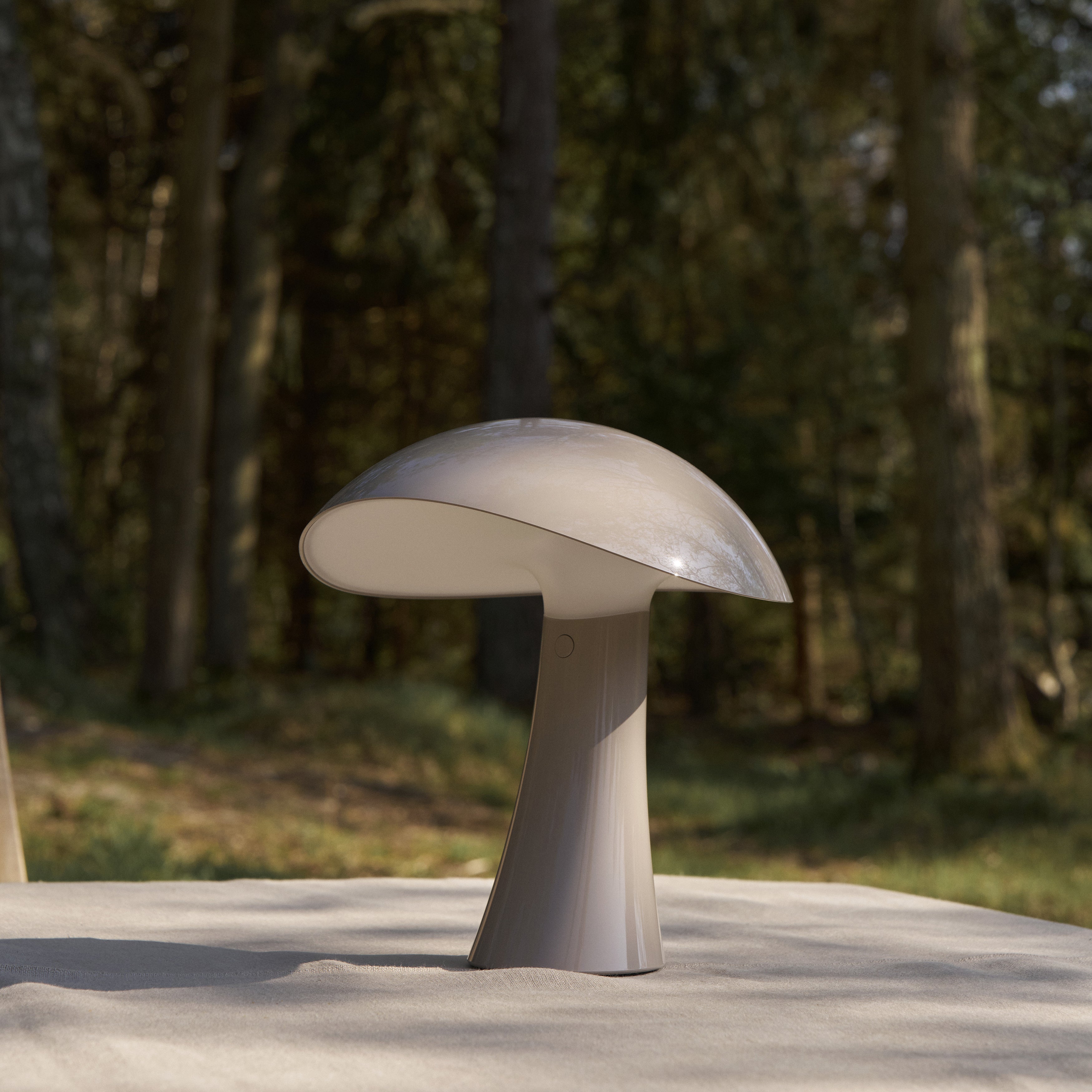 Rumee 220 Portable Lamp