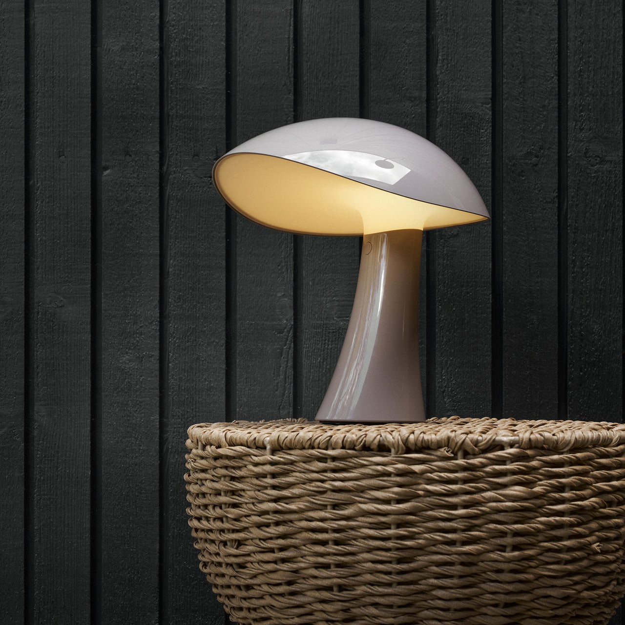 Rumee 220 Portable Lamp