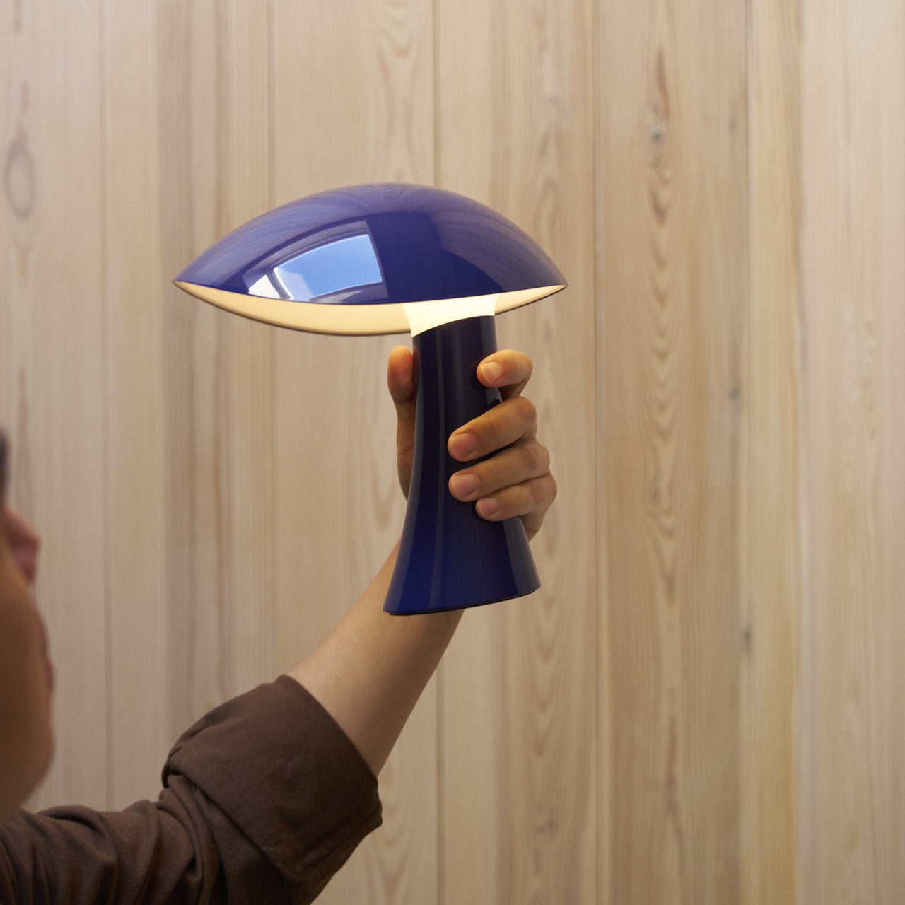Rumee 220 Portable Lamp