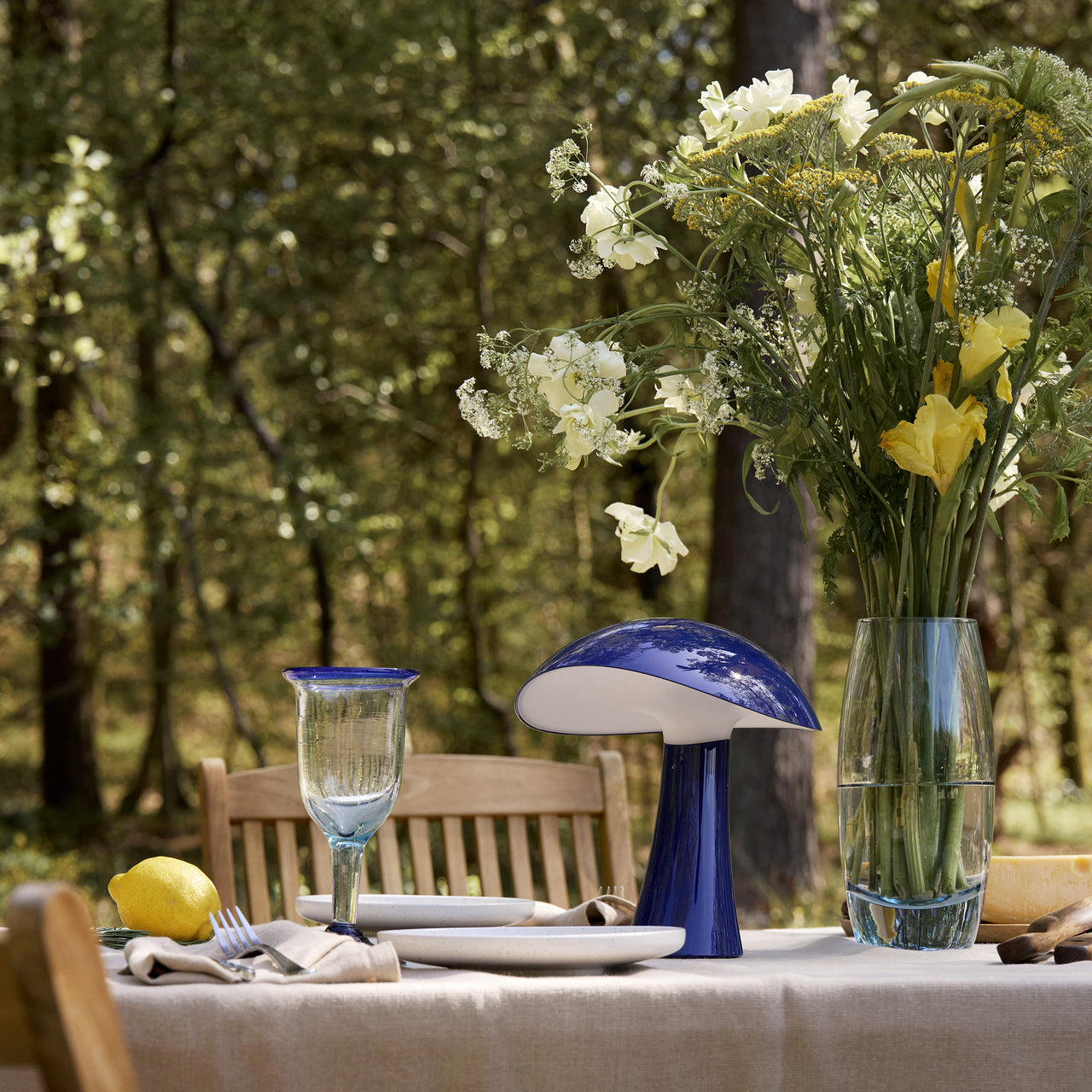 Rumee 220 Portable Lamp