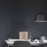 Ambit Pendant Light: Large + LS