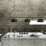 Ambit Rail Lamp: LS