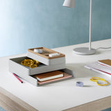 insitu