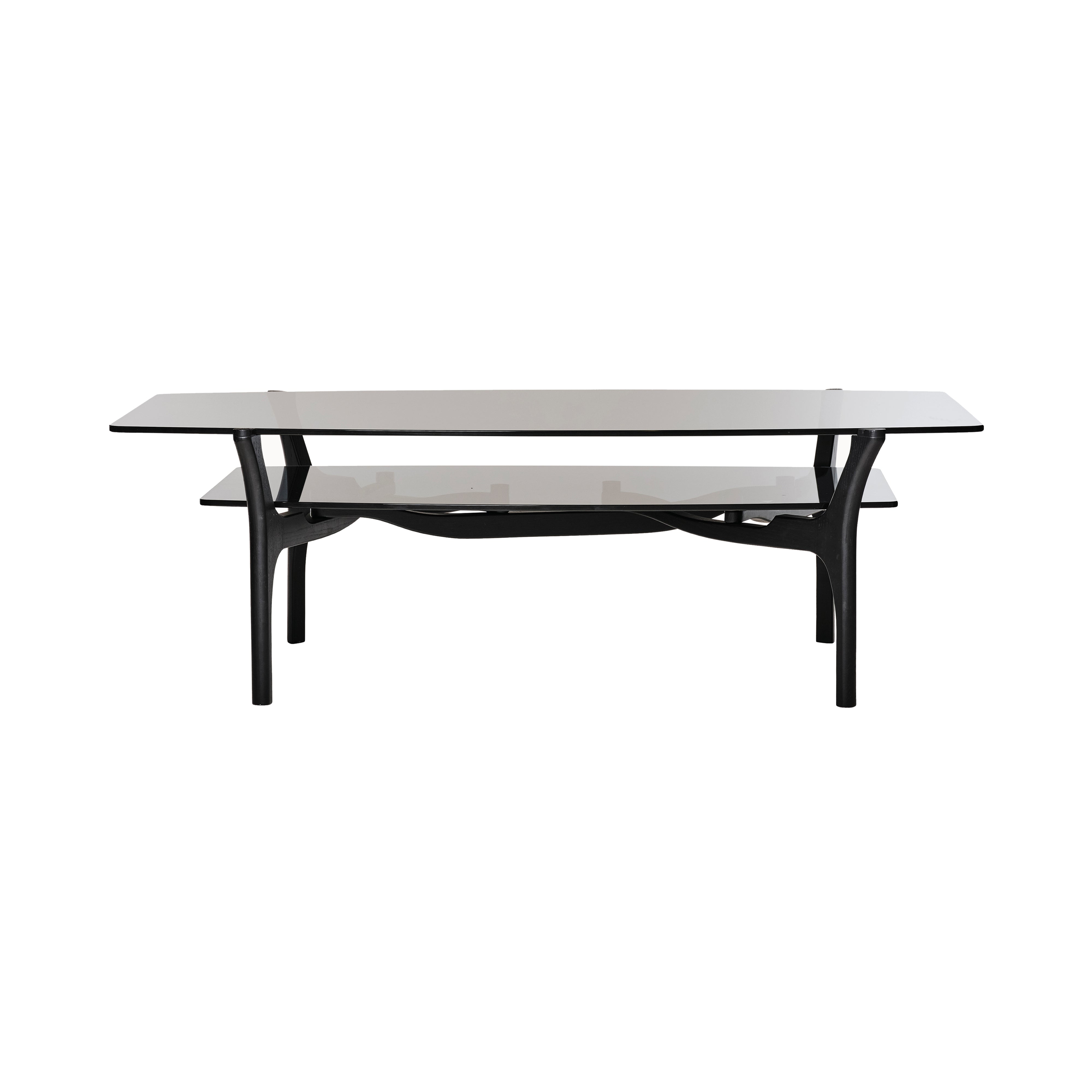 Carlinas Low Coffee Table: Double