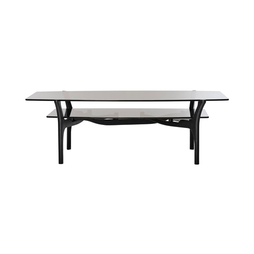 Carlinas Low Coffee Table: Double