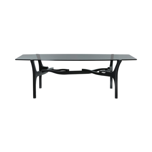 Carlinas Low Coffee Table