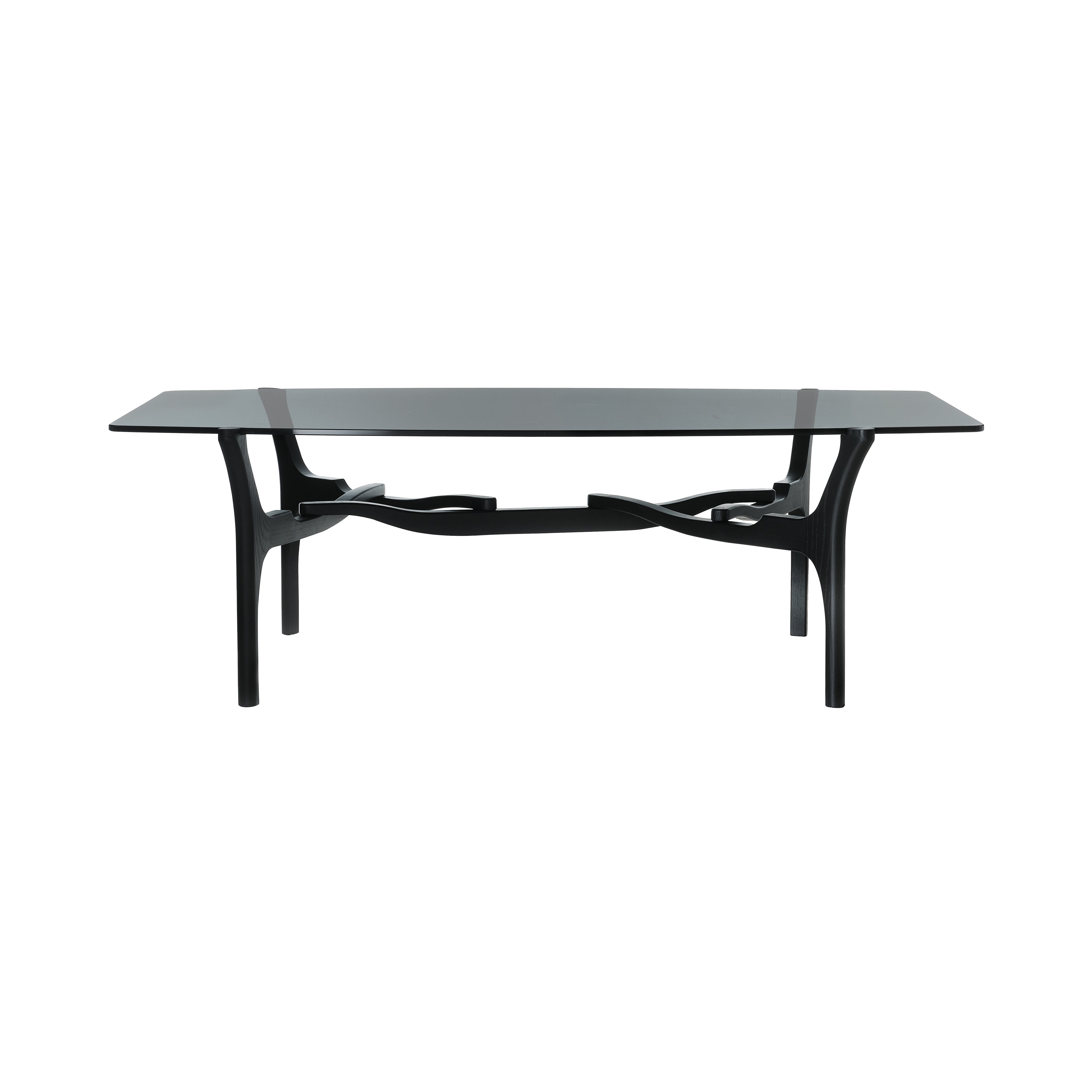 Carlinas Low Coffee Table: Single