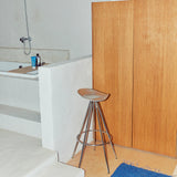 insitu