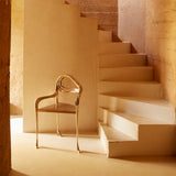 insitu