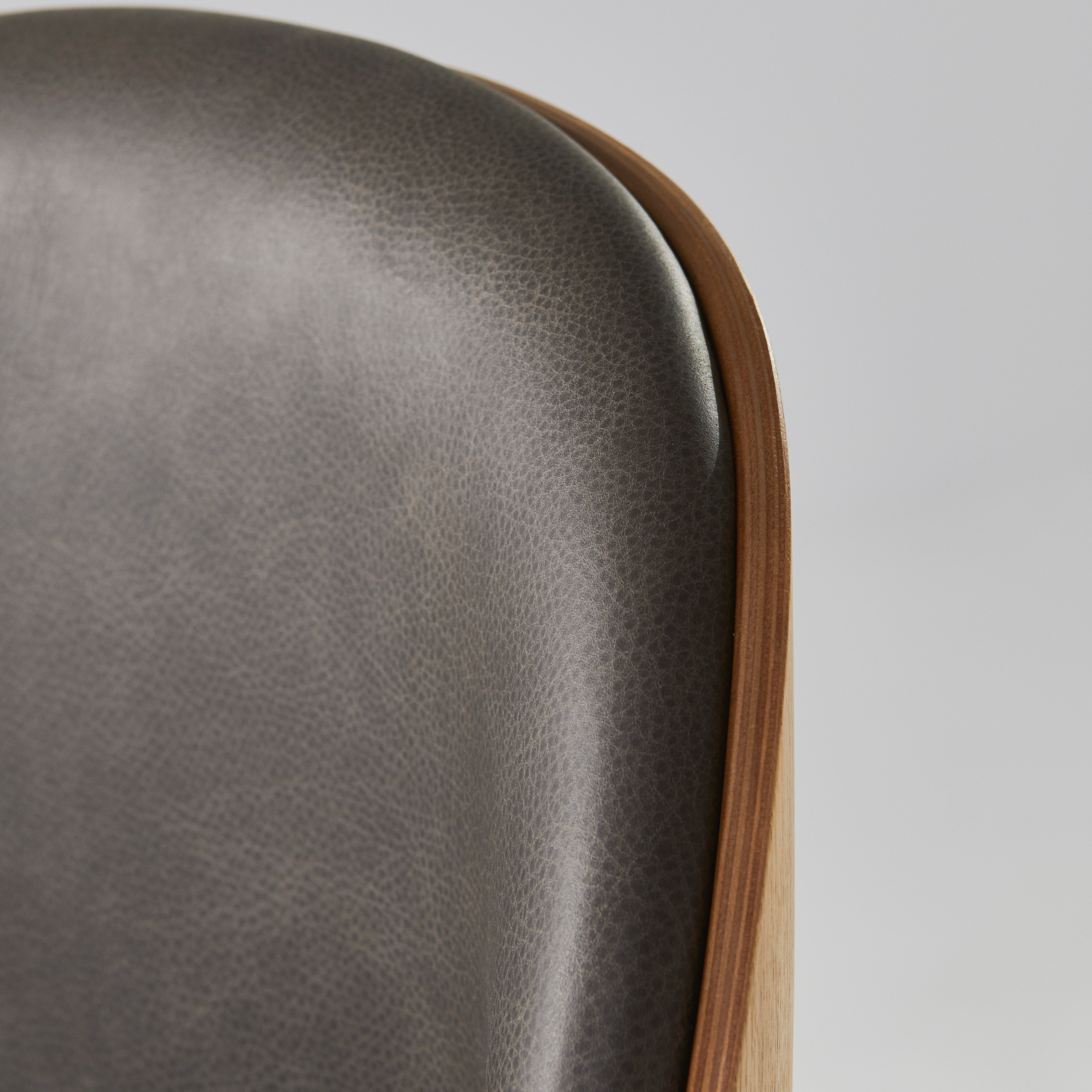 Beetle Dining Chair Conic Base: Veneer Shell + Front Upholstered