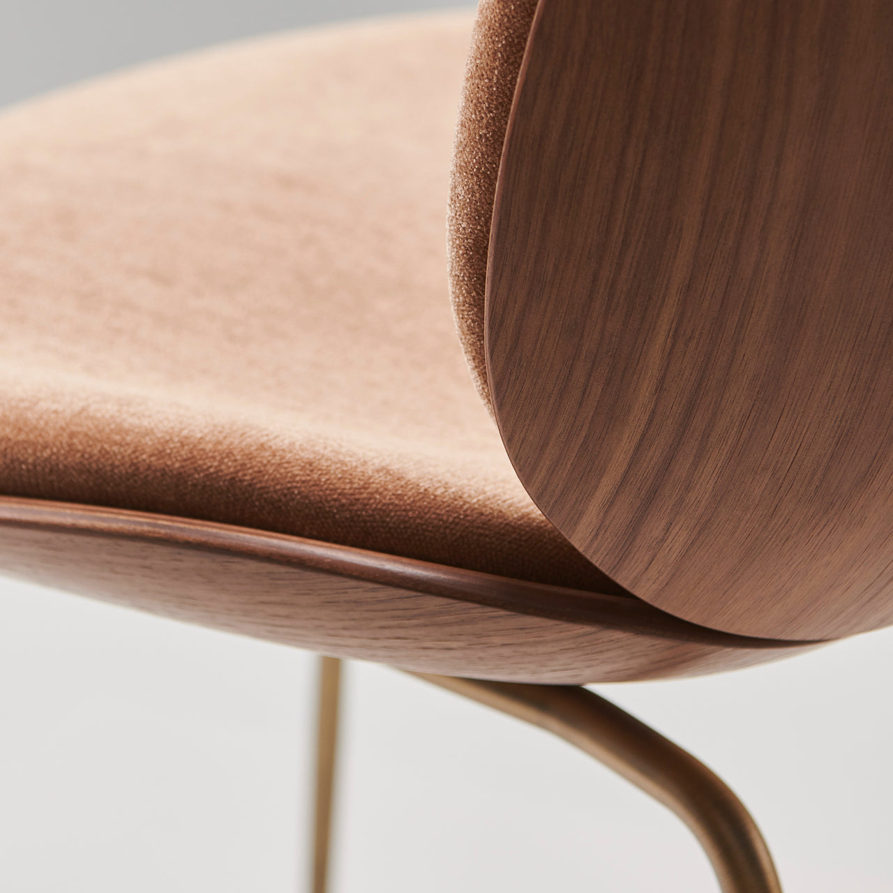 Beetle Dining Chair Conic Base: Veneer Shell + Front Upholstered