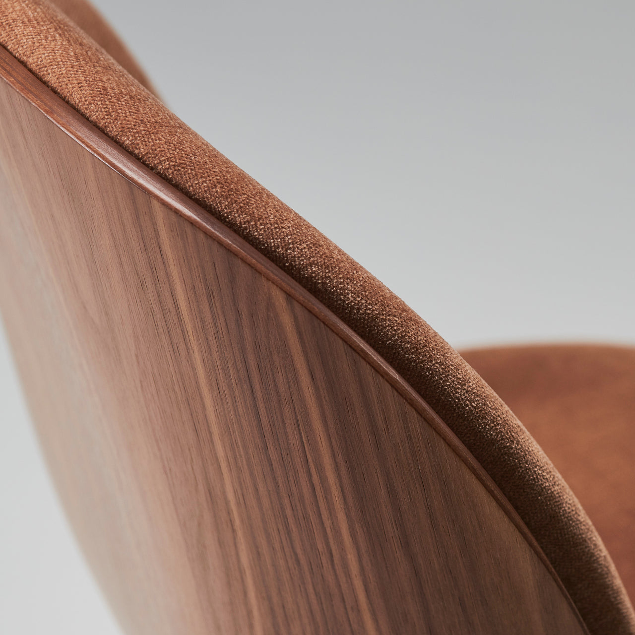 Beetle Dining Chair Conic Base: Veneer Shell + Front Upholstered