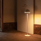 insitu