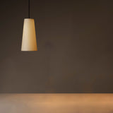 insitu